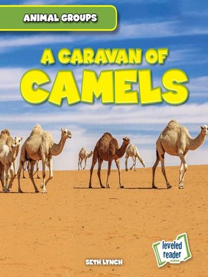 cover image of Caravan of Camels